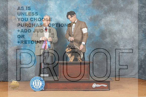 Pomeranian #18 Sun WBBOSM Judge Philip Briasco_MJ_6851_NRKC2023_HR3