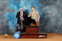 Schipperke #21 Sun WDM Judge Rodney Merry
