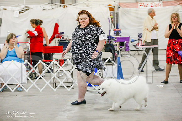 _JJ_5130-AlamogordoOct2014-HR3
