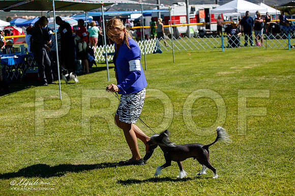 _JJ_5364-AlamogordoOct2014-HR3