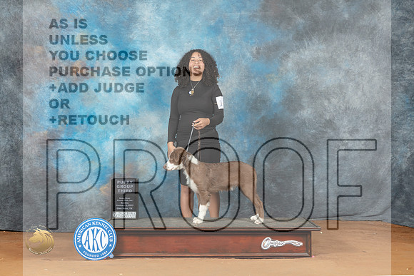 Australian Shepherd #11 Sun OHG3 Judge Nancy Griego_MJ_7350_NRKC2023_HR3