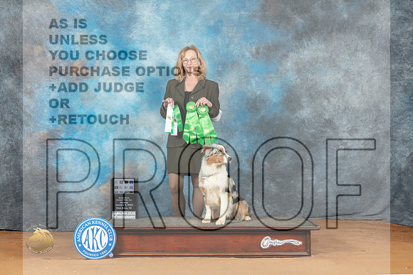 Australian Shepherd #74 Fri Beginner Novice Rally Novice New Title_MJ_7258_NRKC2023_HR3