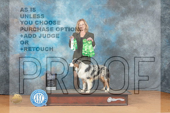 Australian Shepherd #74 Fri Beginner Novice Rally Novice New Title_MJ_7263_NRKC2023_HR3
