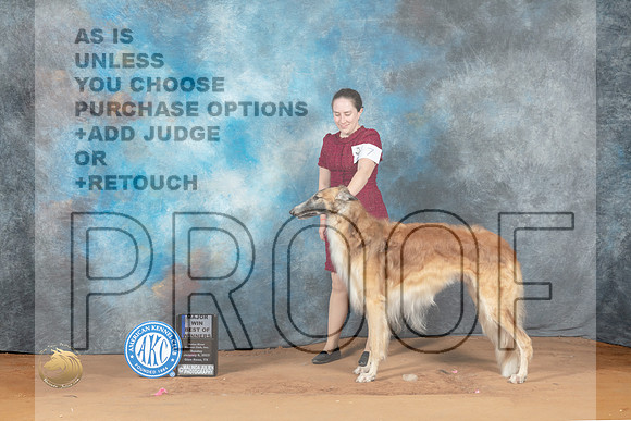 Borzoi #7 Sun BOWM Judge Steve Keating_MJ_7236_NRKC2023_HR3