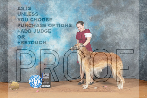 Borzoi #7 Sun BOWM Judge Steve Keating_MJ_7237_NRKC2023_HR3