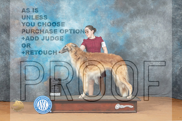 Borzoi #7 Sun OHG3 Judge Diane Price_MJ_7497_NRKC2023_HR3