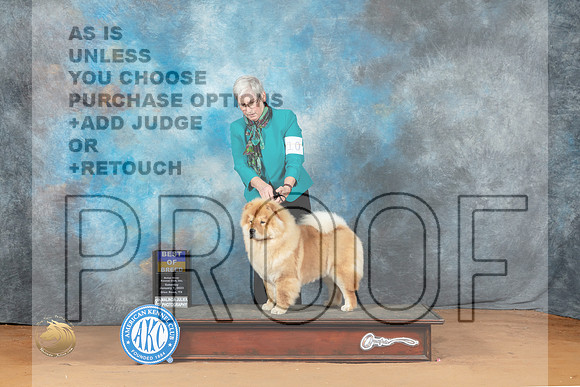 Chow #10 Sun BOB Judge Steve Keating_MJ_7159_NRKC2023_HR3