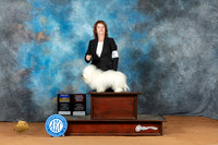 Coton #5 Sun BOBOHBOB Judge Judy Wade