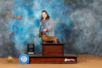 Dachshund Longhaired #5 Sun PBOBG4 Judge Laurie Telfair