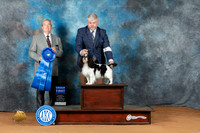 English Toy #5 Sun G1 Judge Jon Steele