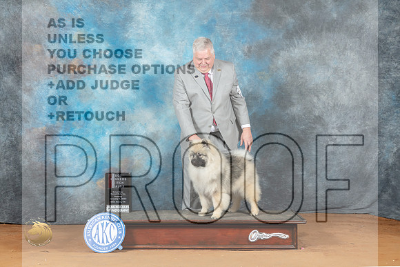 Keeshond #14 Sun WBBOS Judge Steve Keating_MJ_7209_NRKC2023_HR3