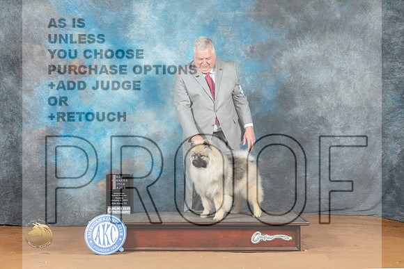 Keeshond #14 Sun WBBOS Judge Steve Keating_MJ_7210_NRKC2023_HR3