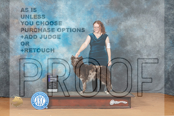 Mudi #7 Sun WD Judge Victoria Jordan_MJ_7338_NRKC2023_HR3