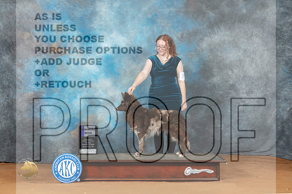 Mudi #7 Sun WD Judge Victoria Jordan_MJ_7342_NRKC2023_HR3