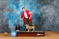 Swedish Valluhund #9 Sun BG4 Judge Nancy Griego