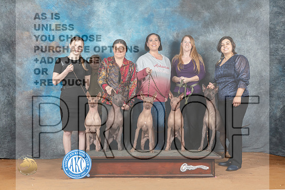 Xolo Family Sun_MJ_7074_NRKC2023_HR3