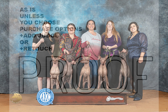 Xolo Family Sun_MJ_7086_NRKC2023_HR3