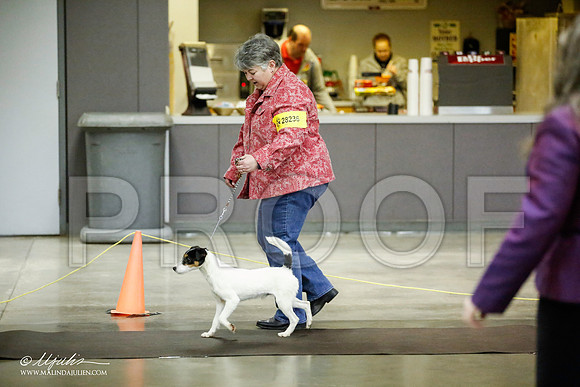 _JJ_5977-BeltonJan2015IABCA-HR3