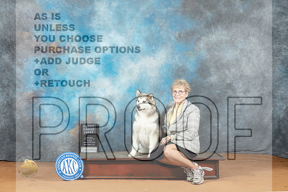 Alaskan Malamute #6 Sun PG1 Judge Nancy Griego_MJ_7713_NRKC2023_HR3