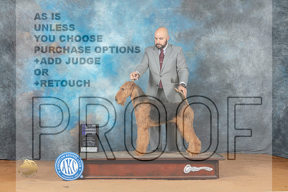 Airedale #9 Sun WDCH Judge Philip Briasco_MJ_7912_NRKC2023_HR3