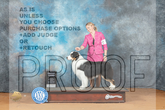 Australian Shepherd #5 Sun G3 Judge Victoria Jordan_MJ_7706_NRKC2023_HR3