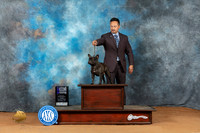 French Bulldog #34 Sun WBM Judge Judy Wade