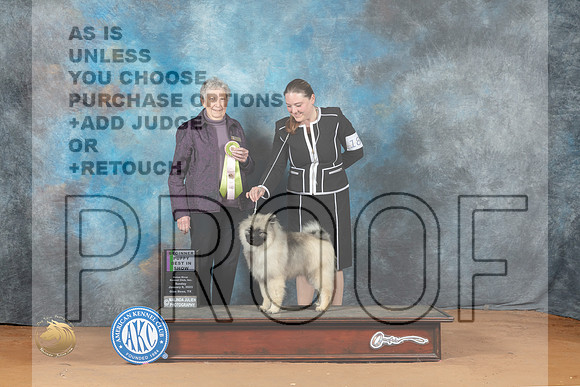 Keeshond #18 Sun 4to6 BP Judge Laurie Telfair_MJ_7615_NRKC2023_HR3