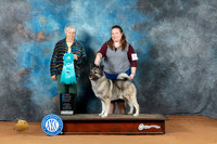 Keeshond #5 Sun OHBIS Judge Lori Nelson