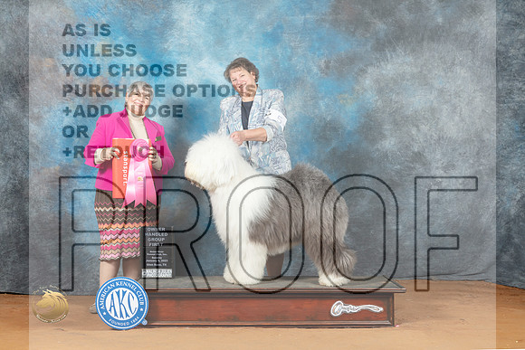 Old English Sheepdog #5 OHG1 Judge Azalea Alvarez_MJ_7581_NRKC2023_HR3