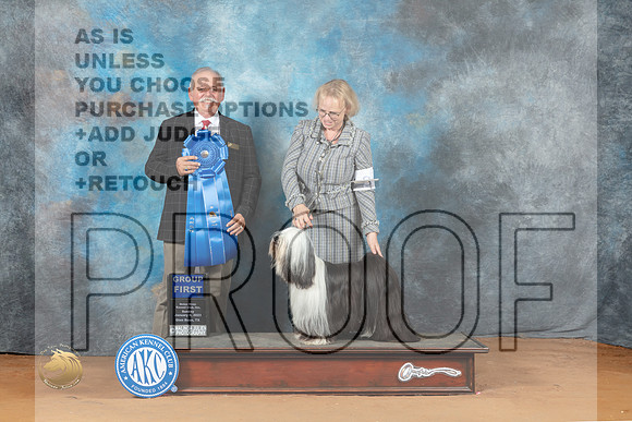 Tibetan Terrier #6 Sat G1 Judge Rodney Merry_MJ_7586_NRKC2023_HR3