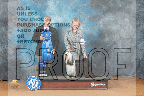 Tibetan Terrier #6 Sat G1 Judge Rodney Merry_MJ_7591_NRKC2023_HR3