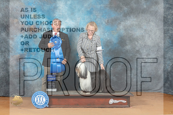 Tibetan Terrier #6 Sat G1 Judge Rodney Merry_MJ_7594_NRKC2023_HR3