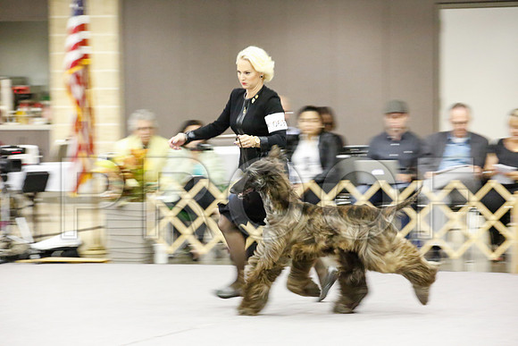 _JJ_9061-AfgBeltonOct2014-HR3