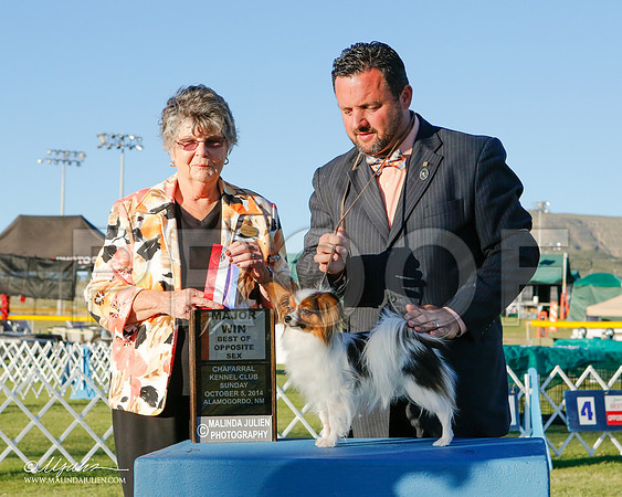 _ST_3615-2-AlamogordoOct2014-HR3