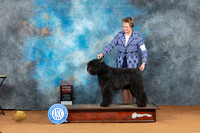 Bouvier #10 Sat G2 Judge Don Gill