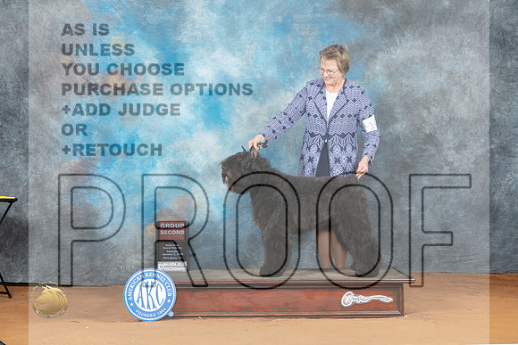 Bouvier #10 Sat G2 Judge Don Gill_MJ_6240_NRKC2023_HR3