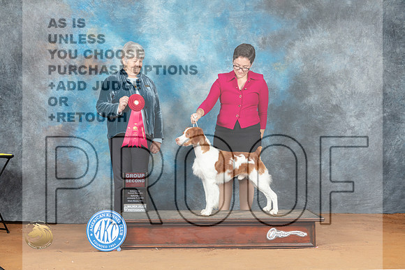 Brittany #5 Sat G2 Judge Lori Nelson_MJ_6196_NRKC2023_HR3