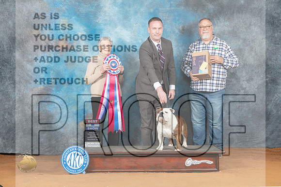 Buldog #26 Sat BIS Judge Laurie Telfair_MJ_6370_NRKC2023_HR3