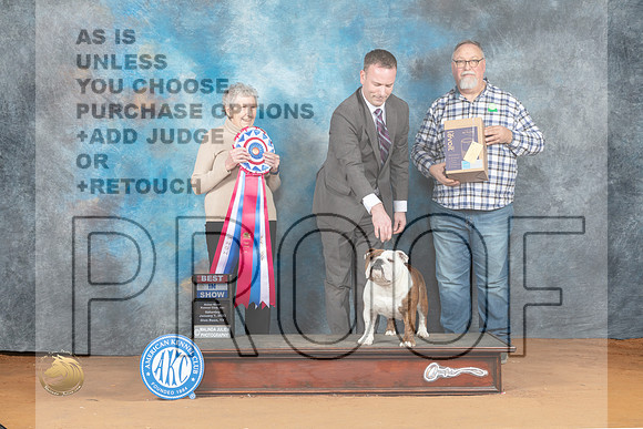 Buldog #26 Sat BIS Judge Laurie Telfair_MJ_6374_NRKC2023_HR3