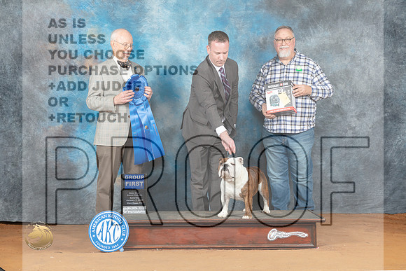 Bulldog #26 Sat G1 Judge Ronald Horn_MJ_6367_NRKC2023_HR3
