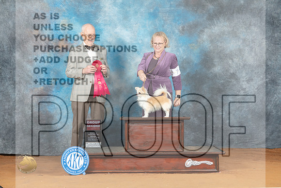 Chihuahua Long Coat #7 Sat G2 Judge Ronald Horn_MJ_6344_NRKC2023_HR3
