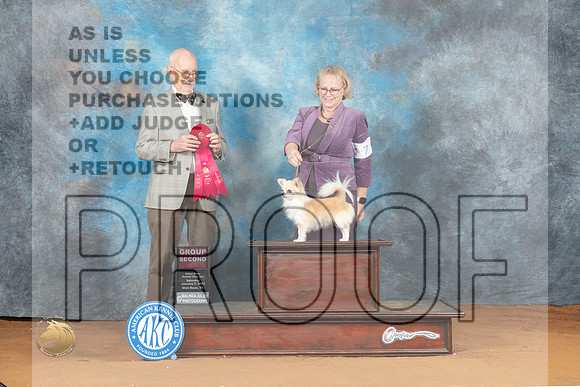 Chihuahua Long Coat #7 Sat G2 Judge Ronald Horn_MJ_6346_NRKC2023_HR3