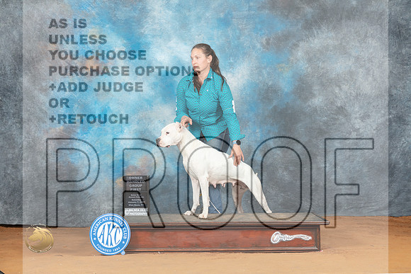 Dogo #6 Sat OHG2 Judge Steve Keating_MJ_6295_NRKC2023_HR3