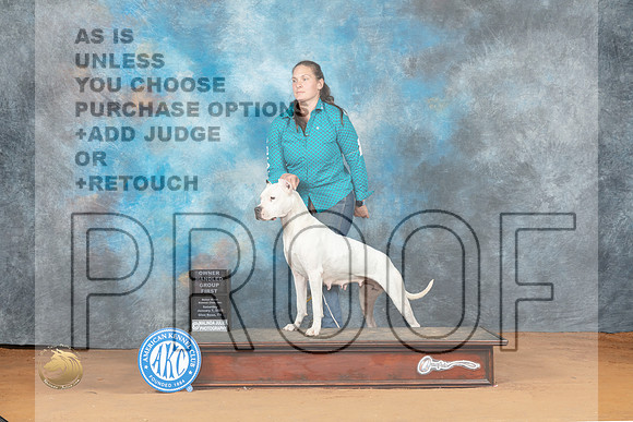 Dogo #6 Sat OHG2 Judge Steve Keating_MJ_6301_NRKC2023_HR3