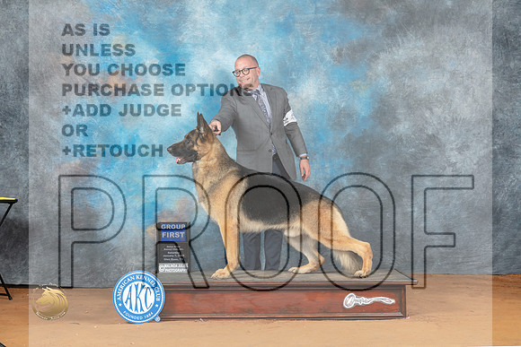 German Shepherd Dog #45 Sat G1 Judge Don Gill_MJ_6227_NRKC2023_HR3