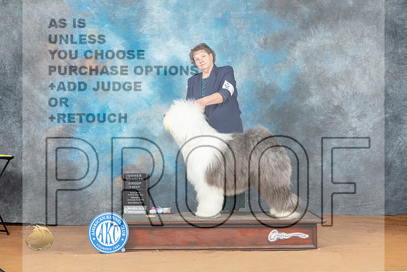 Old English Sheepdog #5 Sat OHG1 Judge Ted Eubank_MJ_6217_NRKC2023_HR3