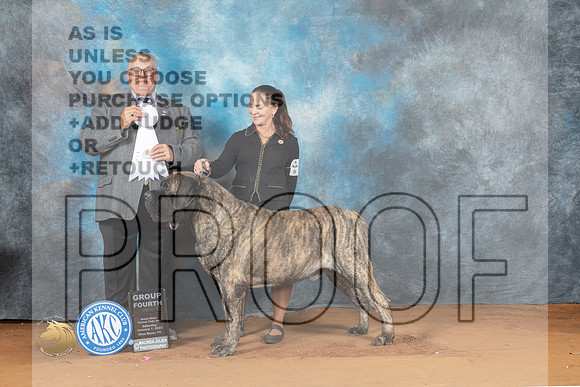 Mastiff #7 Sat G4 Judge John Lucas_MJ_6172_NRKC2023_HR3