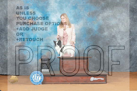 Papillon #11 Sat OHG3 Judge Victoria Jordan_MJ_6312_NRKC2023_HR3