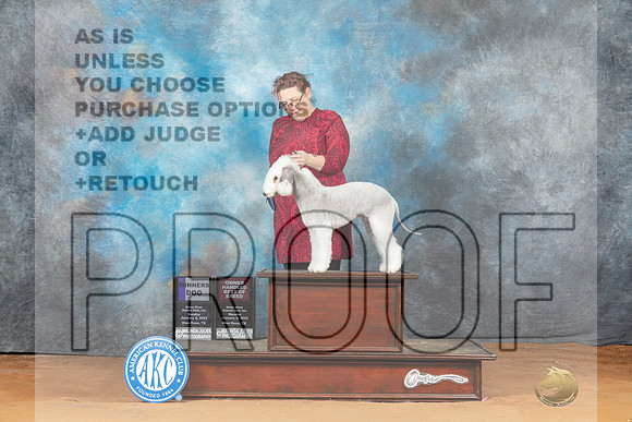 Bedlington Terrier #5 Mon OHBOBWD Judge Steve Keating__MJ_8626_NRK2023-HR3