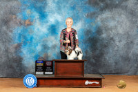Biewer Terrier #6 Mon BOBOHBOB Judge Rodney Merry